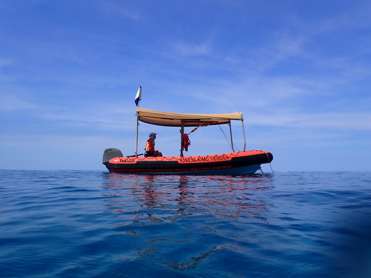 DJJuszkiewicz's tweet photo. Having a great time on the #ScottReef @aims_gov_au 2021 trip. Awash with opportunities and gaining valuable networks and experience. I couldn't ask for more during a PhD and emerging in a new vocation. https://t.co/VPOKnkdaWs