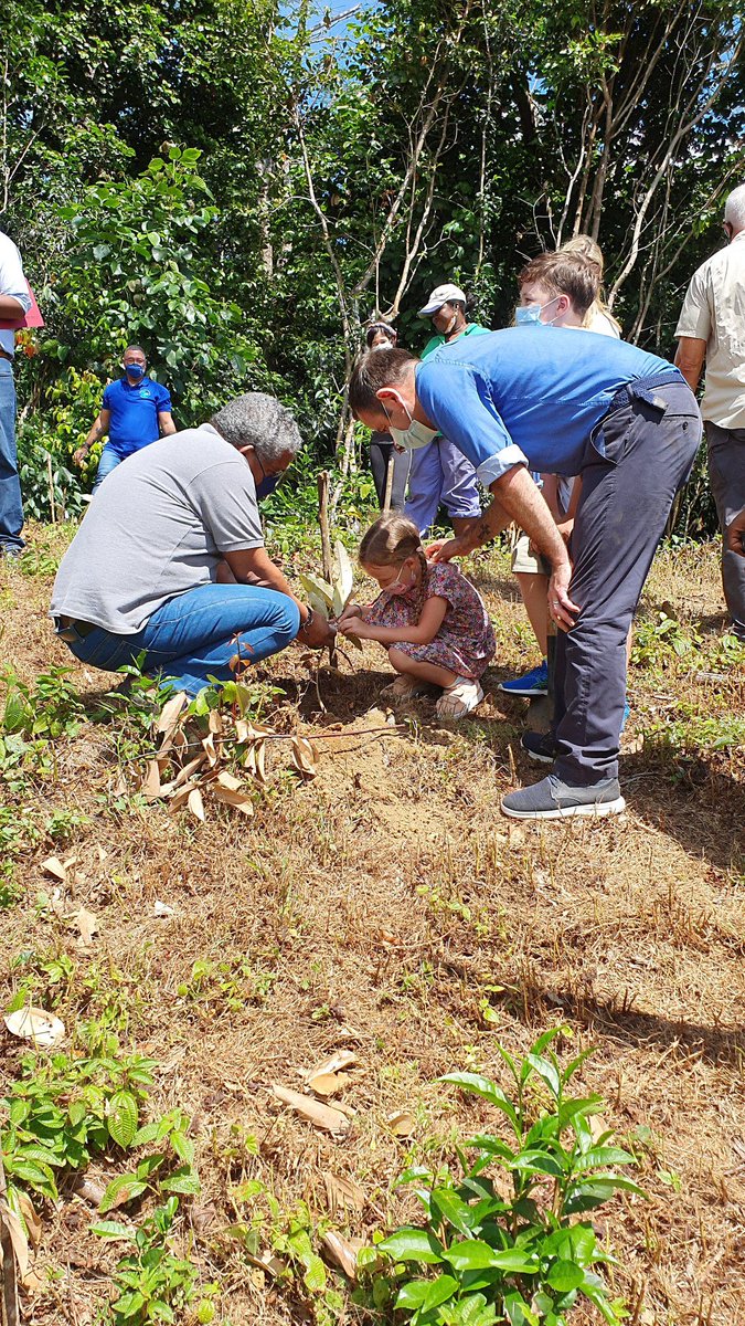 PatrickLynchUK's tweet photo. Honoured to welcome President @wavelramkalawan &amp; @COP26 delegates to Green Footprint #Seychelles, as part of the #GreenRecovery of #tourism. @UKinSeychelles 🇬🇧🇸🇨 &amp; SPGA providing scientifically-verified🌱planting for carbon offsetting of ✈️to 🇸🇨….&amp; Glasgow! #ClimateAction #COP26 https://t.co/IDDXdfGeI6