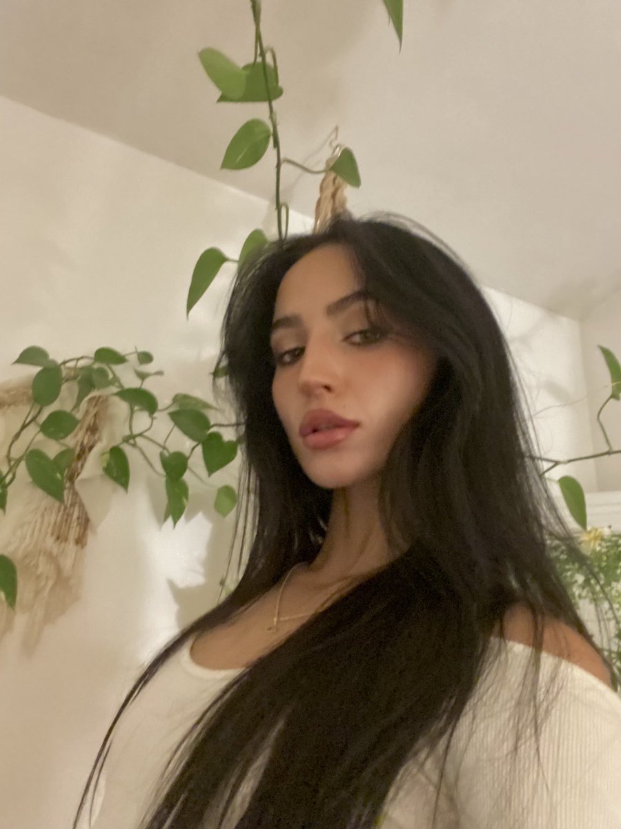 MorganFierro's tweet photo. sanctuary 🧚🏻‍♀️🍄🌿 https://t.co/0682l3tUs4
