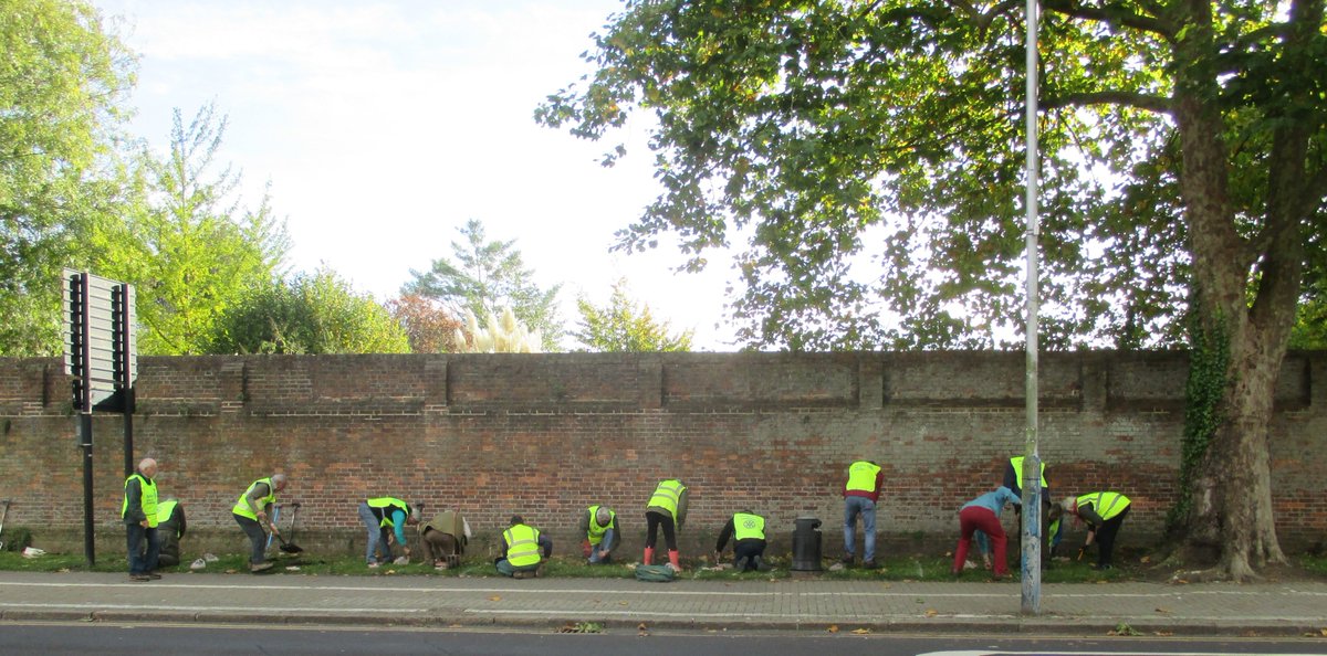 rotarytonbridge's tweet photo. To celebrate #WorldPolioDay2021 a team of enthusiastic volunteers consisting of 10 #TonbridgeRotarians and 4 #FriendsofRotary turned up on Sunday morning to plant 4,000 crocus corms on a section of the verge opposite #TonbridgeSchool @TonbridgeUK. #EndPolioNow https://t.co/2XC5zXRa8k