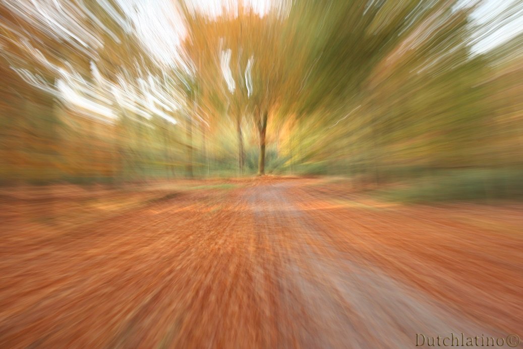 Leenderbos2015's tweet photo. FOTOTIP ! Draaien met je lens bij een langere sluitertijd kan verrassende plaatjes opleveren (Nodig: #Spiegelreflexcamera en #Statief) https://t.co/Fwh5ceEF5o