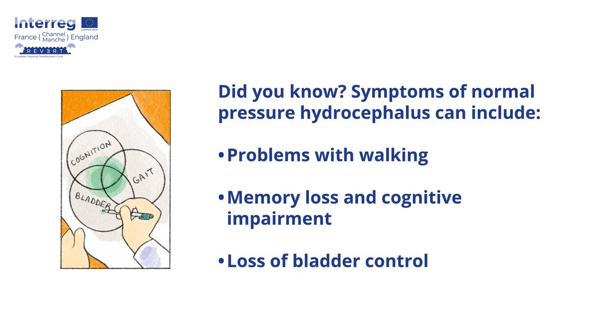 REVERT_Interreg's tweet photo. On World Spina Bifida and Hydrocephalus Day, we're raising awareness about normal pressure #hydrocephalus, a condition often misdiagnosed as #Alzheimer's disease. 

#WBSHD2021 @ifsbh 
Illustration: @eve_barlier https://t.co/AkSYyrhlPi