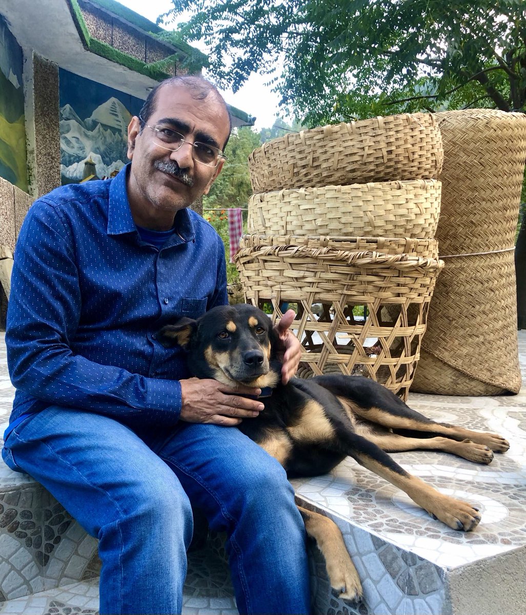 1ALOKJOSHI's tweet photo. यह वेदिनी है। मुझे पहाड़ पर मिली #पिसी_लूण की दुकान के बाहर। #HimFla #HimalayanFlavours https://t.co/i8Hy7ej8Tf