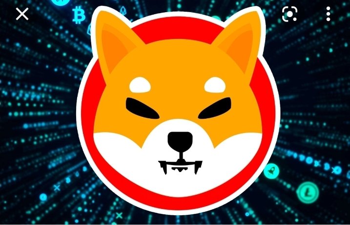 XavierIrving7's tweet photo. #shibainu #blockchain https://t.co/8U9tltc7ME