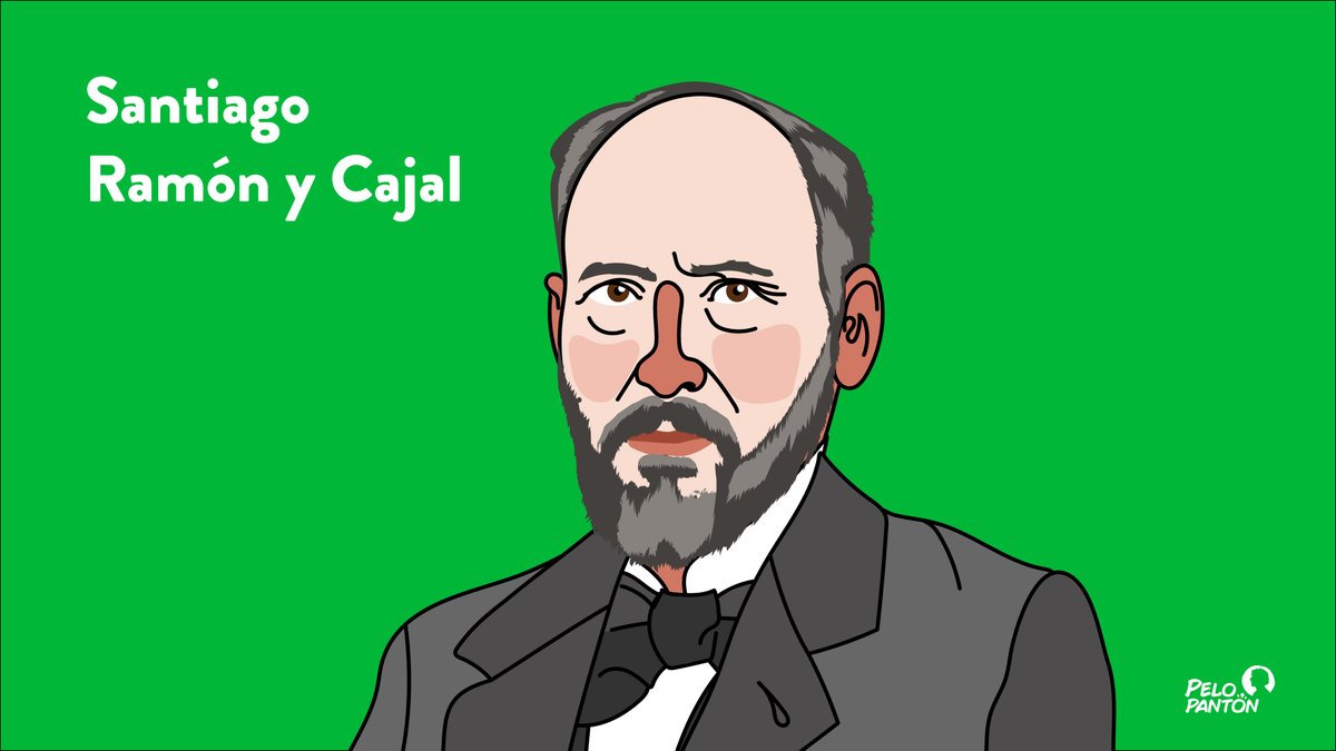 pelopanton's tweet photo. #TalDiaComoHoy... #SantiagoRamonyCajal 🏅 #NobelPrize 🙌🏼👇🏼 https://t.co/FITrtj9e22