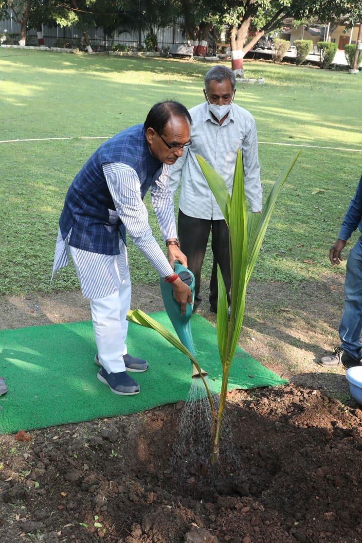 आज निवास परिसर में नारियल का पौधा रोपा। इसे भारतीय सभ्यता में अत्यंत शुभ और मंगलकारी माना जाता है।

प्रत्येक वृक्ष धरती के साथ हम सबके लिए बहुत उपयोगी एवं मंगलकारी हैं। पौधरोपण कीजिए, वर्तमान और भावी पीढ़ियां सुखी, स्वस्थ एवं समृद्ध होंगी। #OnePlantADay