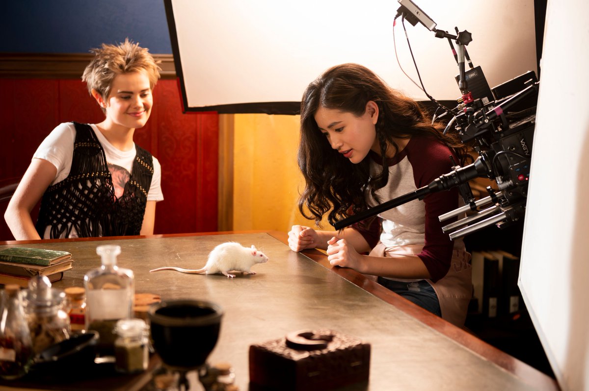 Official BoMT tweet media