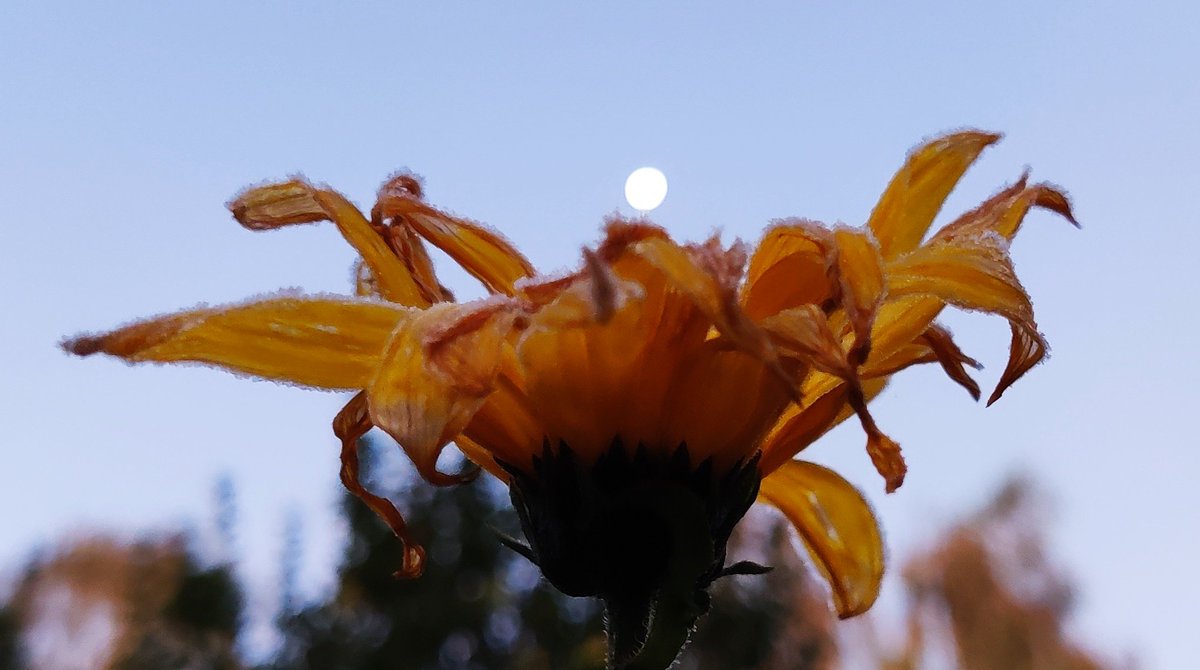 Gerade noch erwischt ...