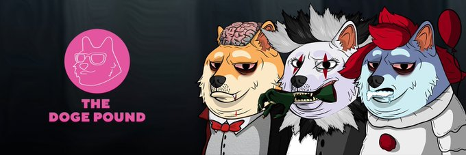 H0ogie's tweet photo. ๐จ This Thursday @TheDogePoundNFT will have a FREE Halloween Doge drop to all holders that hold 1 Doge and 1 puppy.
It's not too late to get in so grab yourself a doge & puppy and get that free value ๐ฐ๐ฐ
#Halloween #halloween2021 #NFT #NFTs #freevalue #value #doge #dogepound https://t.co/XQe2rnz8Xc