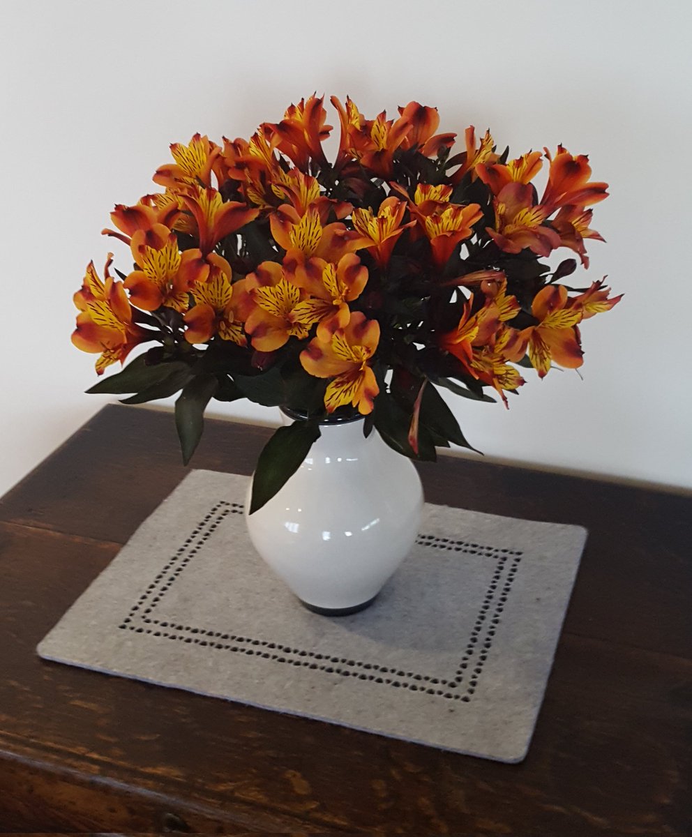GabyLynch9's tweet photo. #WhatsInYourVase #Alstromerias https://t.co/c4AVMjoLgw