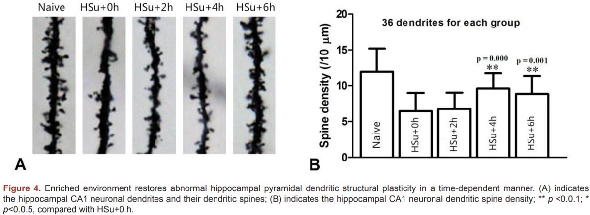 Landmark_IMR's tweet photo. Welcome to read the paper in Frontiers in Bioscience-Landmark:
Amelioration of prediabetes-induced changes of dendritic structural plasticity, by Yanyang Tu @harvardmed
https://t.co/twVmi09MNo
#Prediabetes #Cognitive_Dysfunction #Hippocampus
#diabetes #science #research https://t.co/TBrjnRAOwu