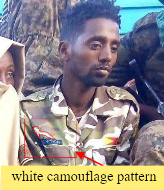EthioCyberia's tweet photo. 🚨FAKE NEWS ALERT🚨
⚠️WARNING⚠️GRAPHIC⚠️IMAGE⚠️

#TPLF social media have been circulating graphic images implying an #ENDF soldier killed a #TPLF PoW.

This is #FakeNews. Despite similarity in facial features, the camouflage patterns are different. 

#TPLF always lies!!! https://t.co/6dcF69J3oS