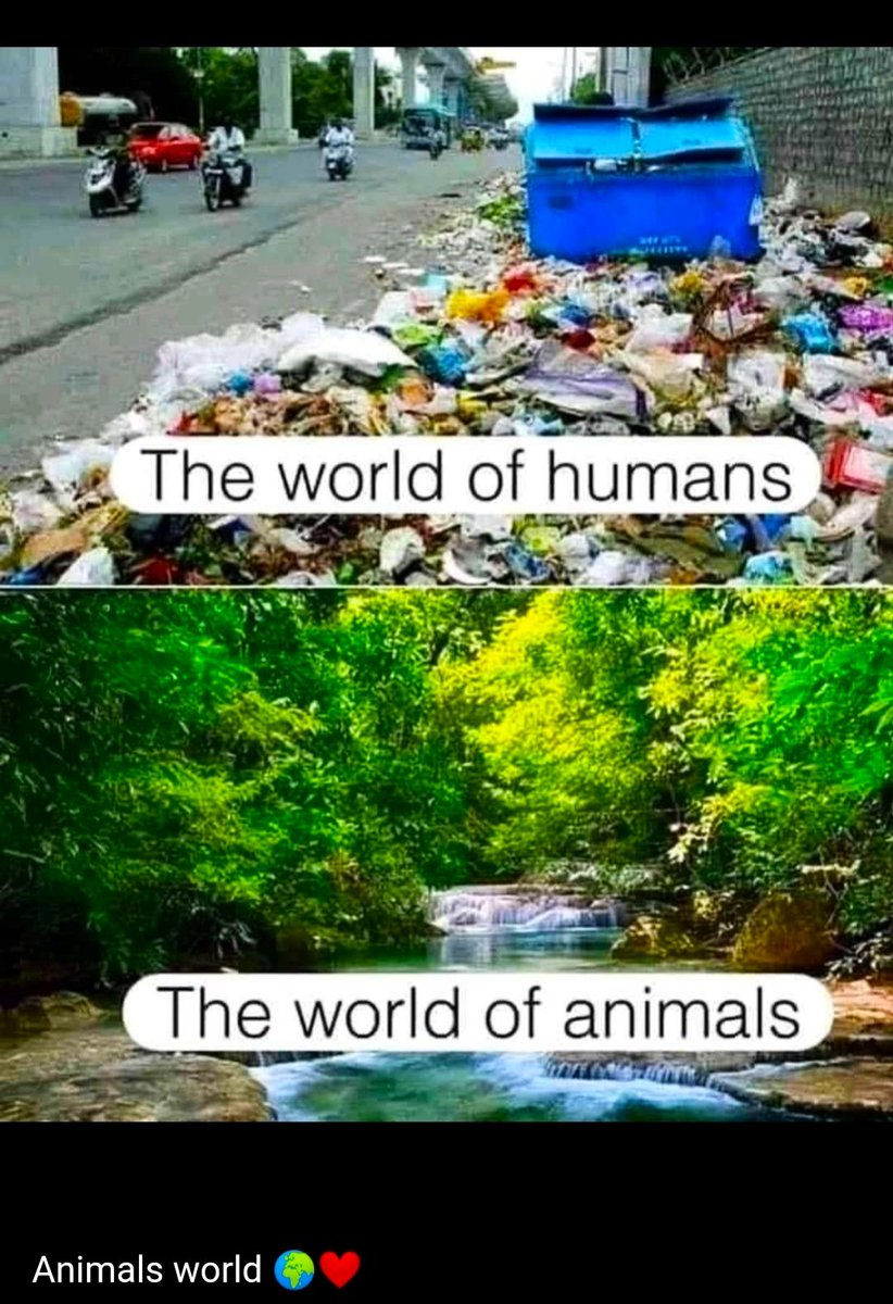 PathariyaUday's tweet photo. Please 🙏🙏 save the world 🌍 https://t.co/FOuvVQjnBa