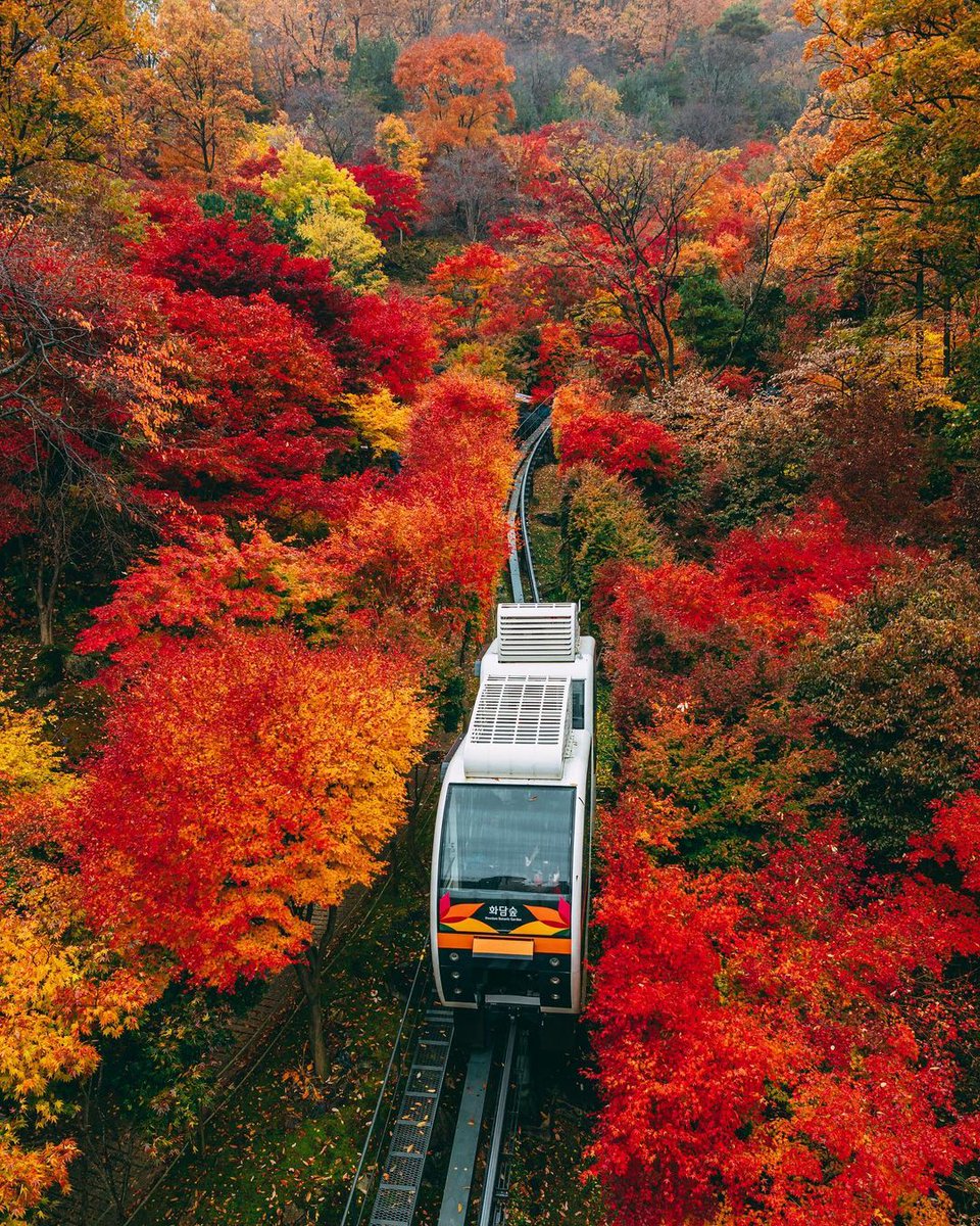 미리 만나보는 단풍뷰🍁
無첨가, 가을 빼고 아무것도 담지 않았어요🧡
몸에 좋은 성분만 가득 담은 #가을 #광주 #화담숲

📷 INSTAGRAM @colorny

※우리 모두 건강한 일상으로 돌아가기 위해 방역수칙을 준수해 주세요!