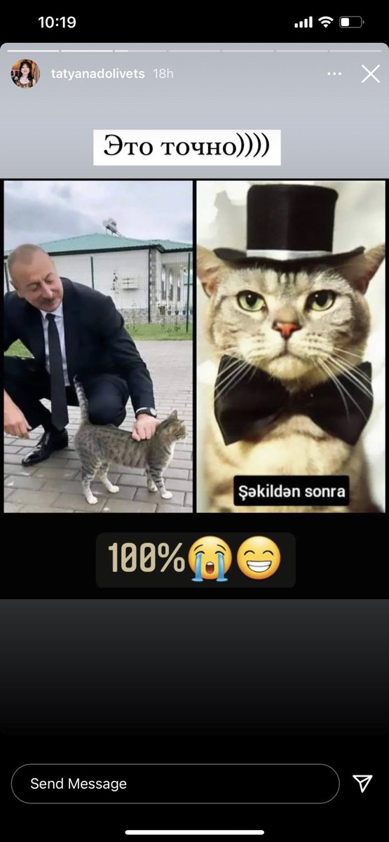 FIDAN Gardashkhanova (@fidan50953716) on Twitter photo 