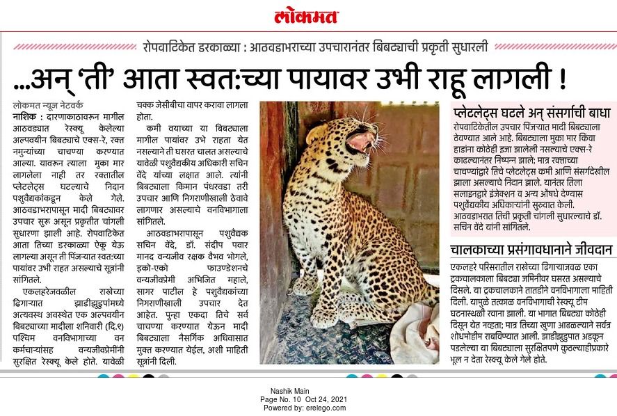 wnashik_forest's tweet photo. #login https://t.co/CpJfKnSbQv