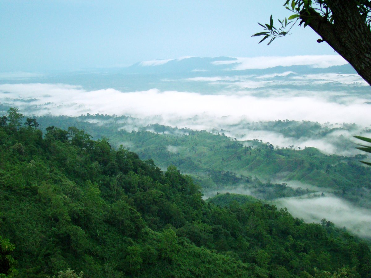 TripuraTourism's tweet image. Hot coffee and cold winter morning plus hill station...
-- favourite menu in everyone's life !!
Visit the highest hill range of Tripura
📌Jampui Hills
The climate in Jampui is pleasant and balmy throughout the year,making it a great destination to go at any time.