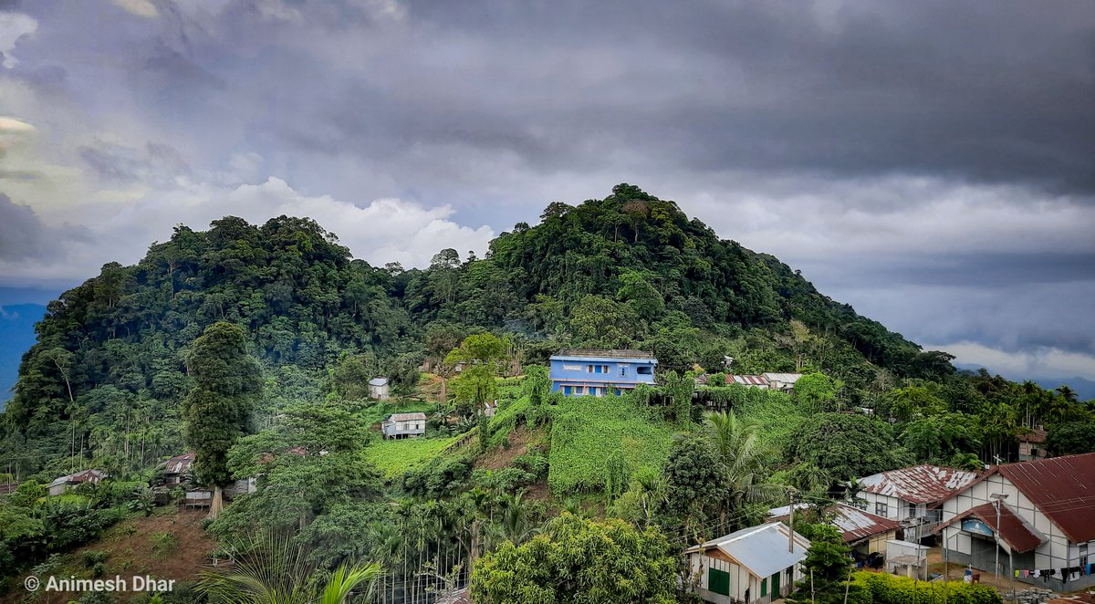 TripuraTourism's tweet image. Hot coffee and cold winter morning plus hill station...
-- favourite menu in everyone's life !!
Visit the highest hill range of Tripura
📌Jampui Hills
The climate in Jampui is pleasant and balmy throughout the year,making it a great destination to go at any time.