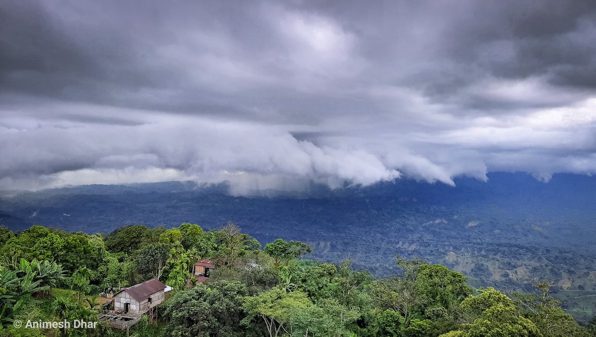 TripuraTourism's tweet image. Hot coffee and cold winter morning plus hill station...
-- favourite menu in everyone's life !!
Visit the highest hill range of Tripura
📌Jampui Hills
The climate in Jampui is pleasant and balmy throughout the year,making it a great destination to go at any time.