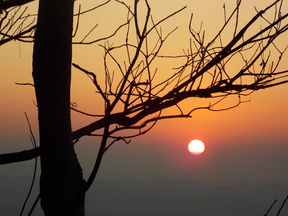 TripuraTourism's tweet image. Hot coffee and cold winter morning plus hill station...
-- favourite menu in everyone's life !!
Visit the highest hill range of Tripura
📌Jampui Hills
The climate in Jampui is pleasant and balmy throughout the year,making it a great destination to go at any time.