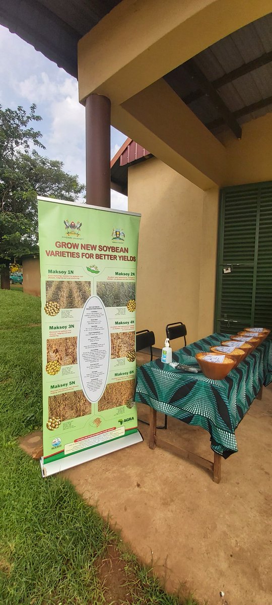 MakCAES's tweet photo. #Happening #soybeans Soybean Value Chain Development Mission @Makerere #MakCSID https://t.co/CcxWtnXxnv