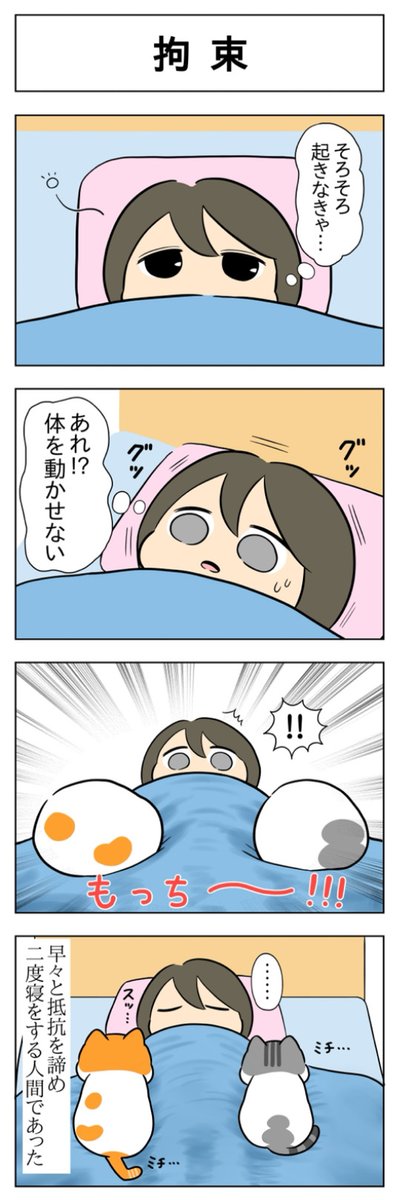 それでも嬉しい│フェリシモ猫部 https://t.co/Tz73FB1IY3 