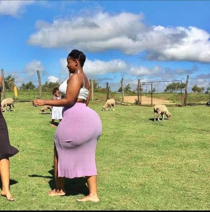 ch_uranus's tweet image. I Love sheep, especially when the sky is blue. I remembered when Jesus said, I am the Lamb who takes away the sins of the world.The grass is always green when sheep are playing and walking around. Sheep is a precious animal, take good care of your sheep.