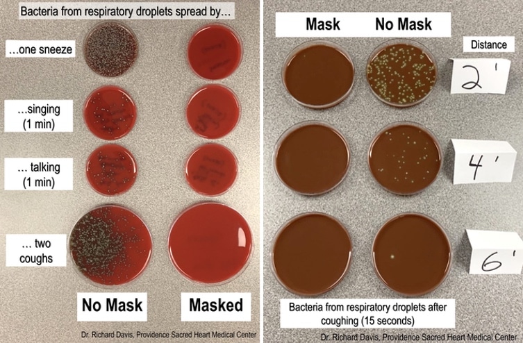 Coughs and sneezes spread diseases
Wear a mask for the love of Jesus