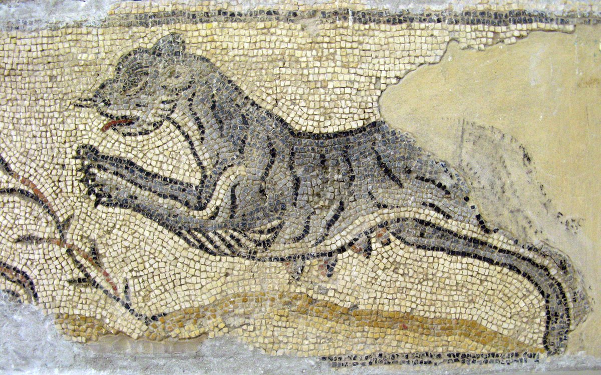 romanarchaeouk's tweet photo. A hunter snatches a cub and races towards the safety of a tiny tower with his enormous hound, chased by the cub's mother: a scene in the border of a now fragmentary #mosaic from the nave of the three-aisled Central Church in #Cyrene in #Libya #RomanLibya #MosaicMonday https://t.co/2ZrbnbHdCJ