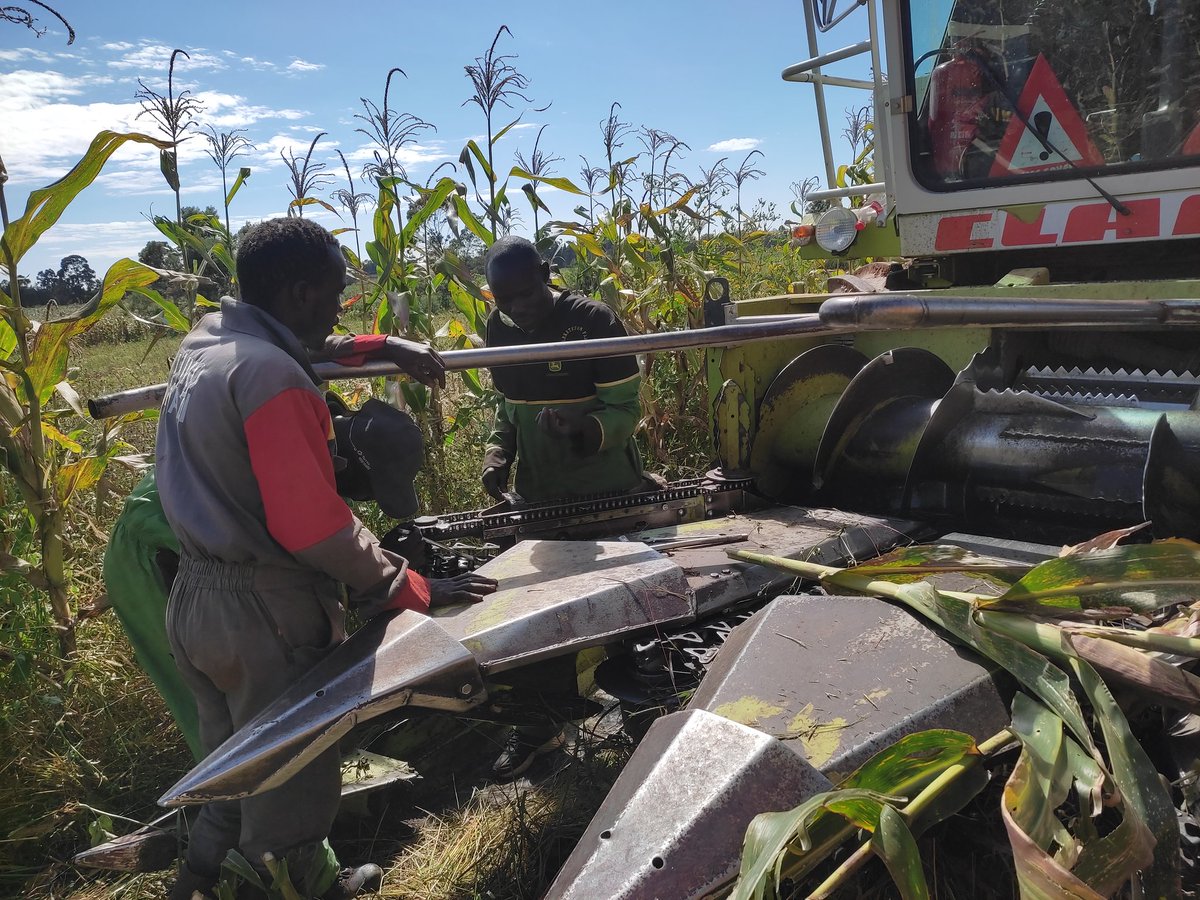 leketetonfarm's tweet photo. In house mechanics team built out hardship and necessity... #mattersfodder PS: Getting #claas coverals soon. https://t.co/xgfrjQY78b