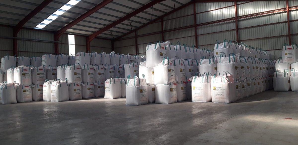 El uso de una buena semilla es el primer paso hacia una buena cosecha. Semillas certificadas de cereales.