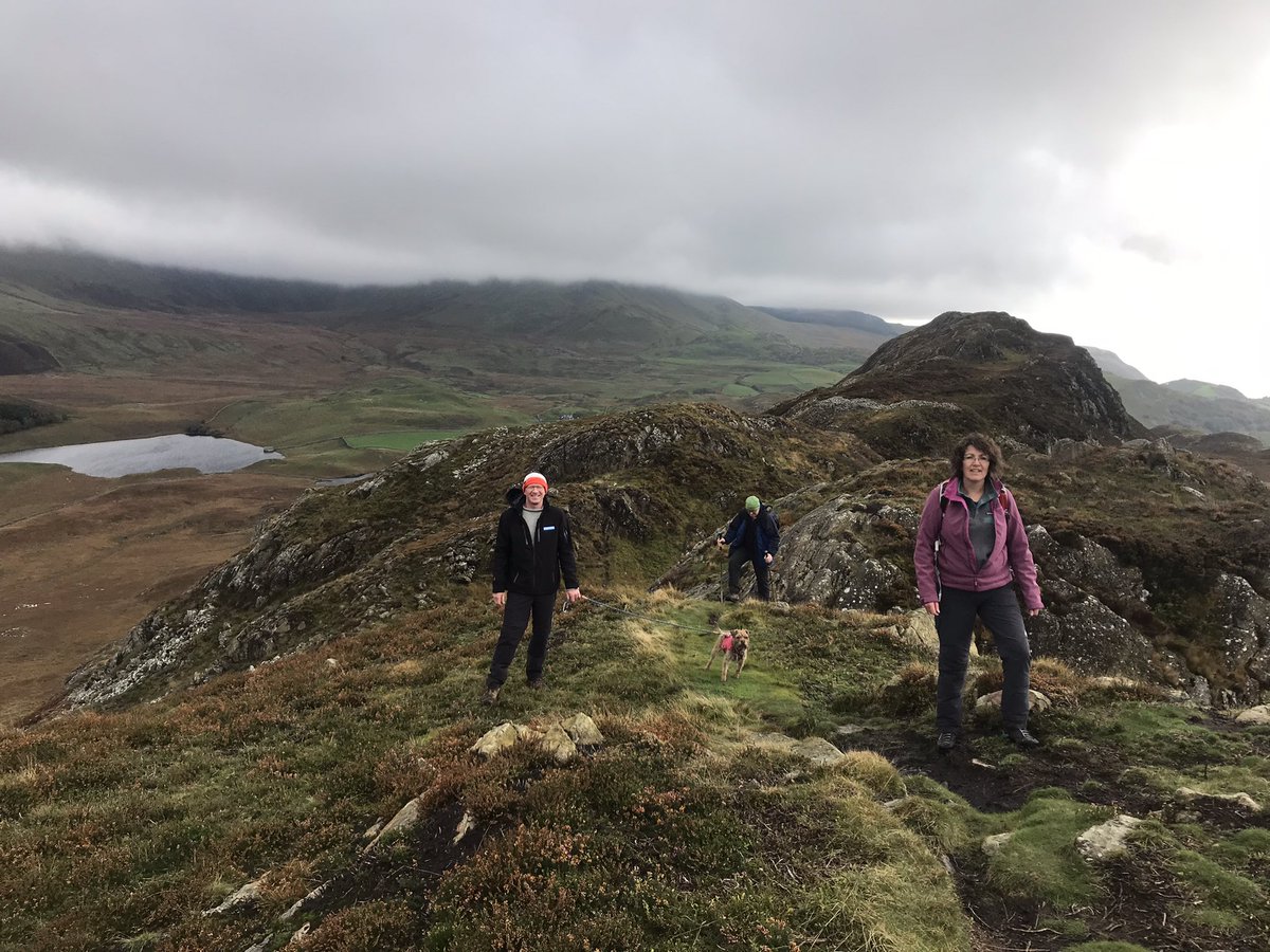 Jo Williams tweet media