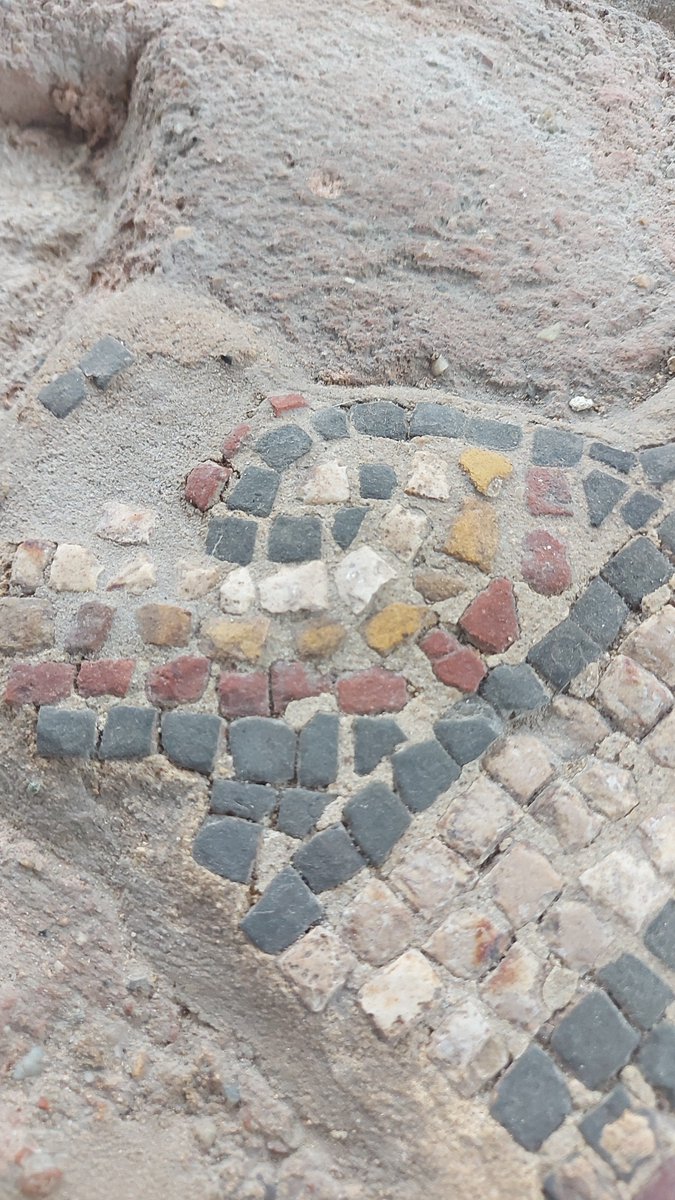 Really enjoyed seeing the mosaics at the <a href="/RomanTownHouse/">Roman Town House, Dorchester</a> up close during the tour on Saturday! #MosaicMonday
