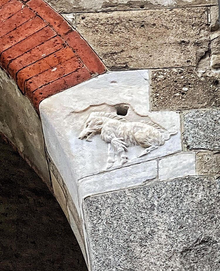 La #ScrofaSemilanuta è una creatura leggendaria, simbolo della città di Milano, che si riallaccia alla fondazione del capoluogo lombardo, avvenuta ad opera dei Celti. Oggi la Scrofa Semilanuta si può ammirare ancora in giro per le vie di #Milano!😍
---
📷: Alessandro Gnecchi