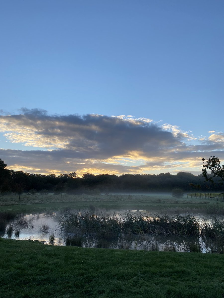 Fergus Elias tweet media