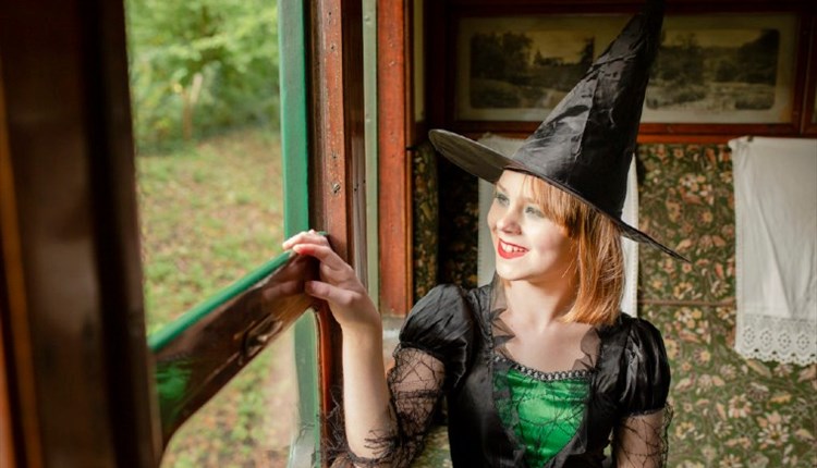 IW Travel Ambassador tweet media