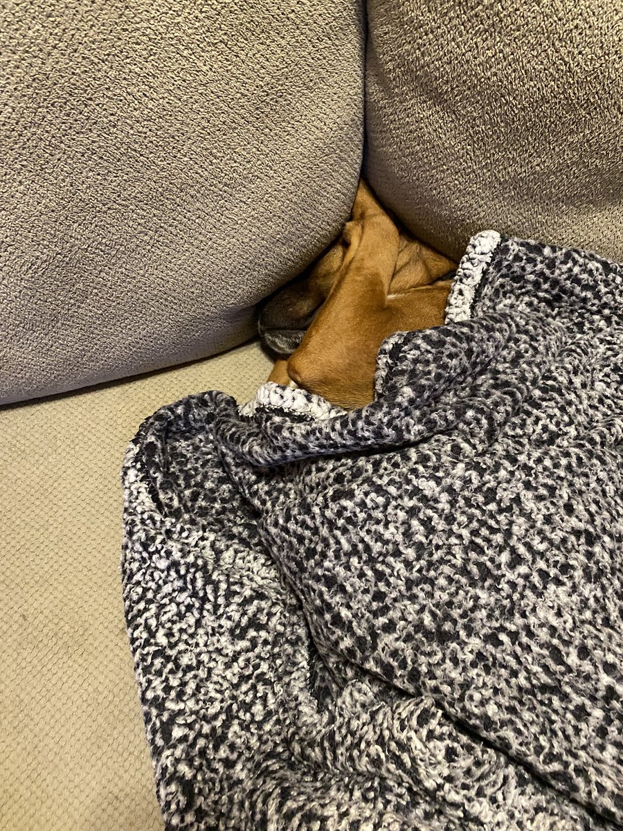 autterbean's tweet photo. I love my cuddle bug ❤️ https://t.co/kjyrcJFV9n