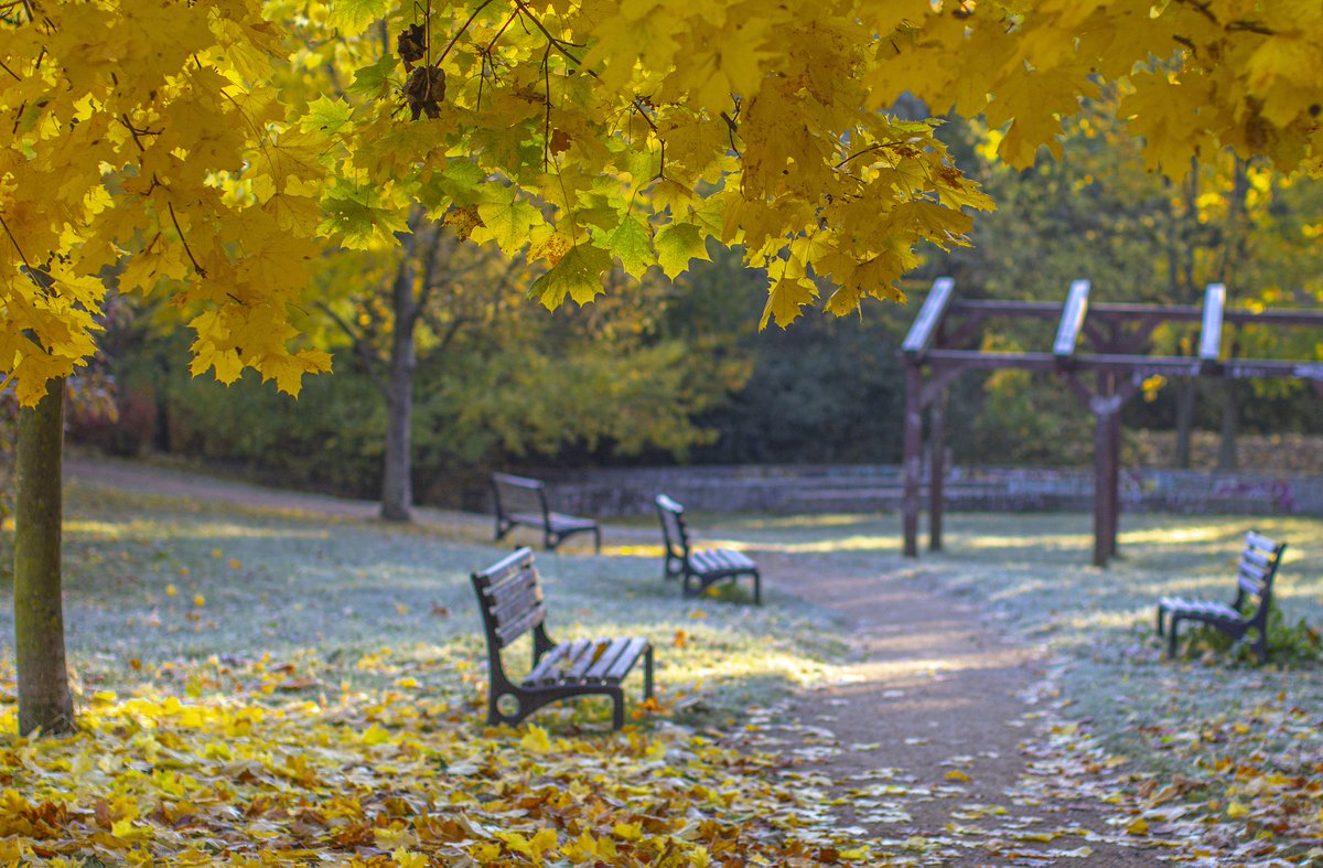 autumn...