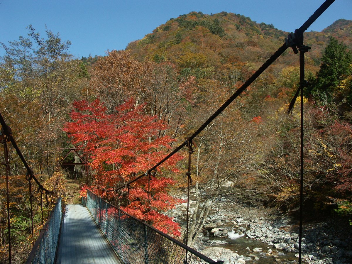 Hosomichi_13's tweet photo. ここかな、つり橋と紅葉。ちなみにつり橋は特にこわいとも思いません、平気です。谷瀬のでも大丈夫です。2005-11-5 #奈良 #天川 #国道 #r309 #つり橋 #紅葉 #archive
https://t.co/cHyYl7xC6m https://t.co/IFXkvvuhX9