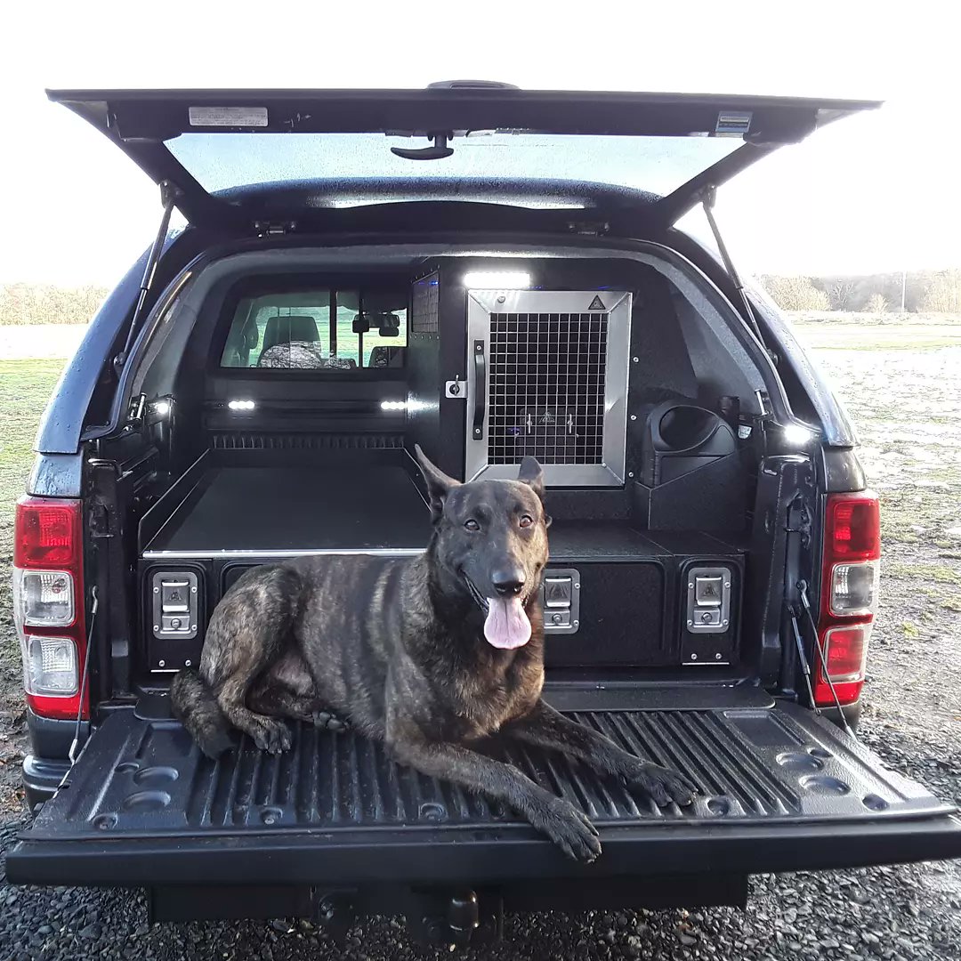 gun dog transit boxes