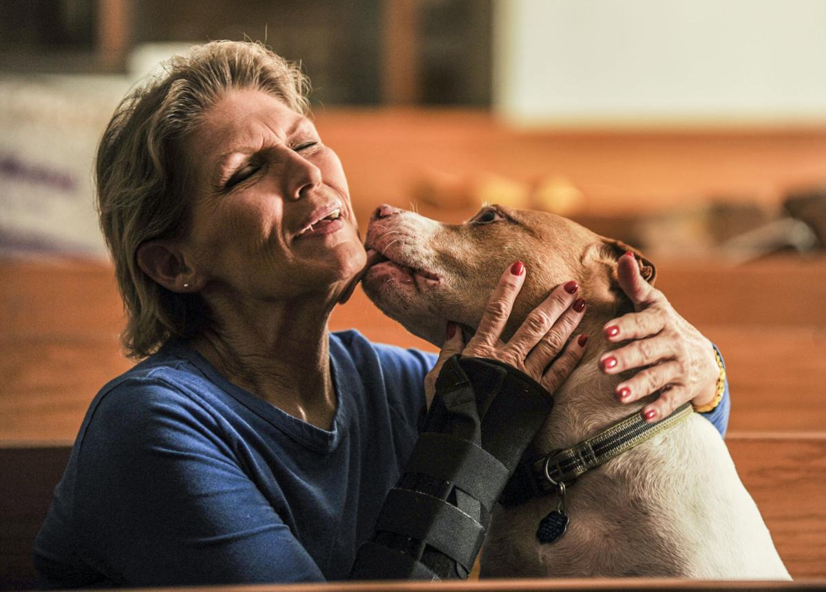 Pit bull rescued from dumpster becomes beloved pet for Hartselle woman  decaturdaily.com/news/morgan_co…