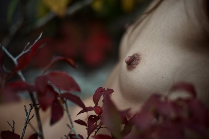 From my collab with @anonkylephotos last week  Fall colors + Abstract nudes 🤩  Edited by me with permission<a class="tags" target="_blank" title="On Twitter" href="/?out=eyJ0eXAiOiJKV1QiLCJhbGciOiJIUzUxMiJ9.eyJpYXQiOjE3MjA3NzI4MTUsImlzcyI6InR3cG9ybnN0YXJzLmNvbSIsIm5iZiI6MTcyMDc3MjgxNSwiZXhwIjoxNzUyMzA4ODE1LCJyZWRpcmVjdF91cmwiOiJodHRwczovL3R3aXR0ZXIuY29tL2Fub25reWxlcGhvdG9zIn0.o3XMc0UWLMe8SHl_dh4DR4CxIZSD0H2bN-23CWFA65v40eHp_QaBmd_vwDS4_E-tXUaA_LaCRlm730WEHa5kVw">@anonkylephotos</a><a href="/tag/naturalmedicine"class="tags"><span>#naturalmedicine</span></a>