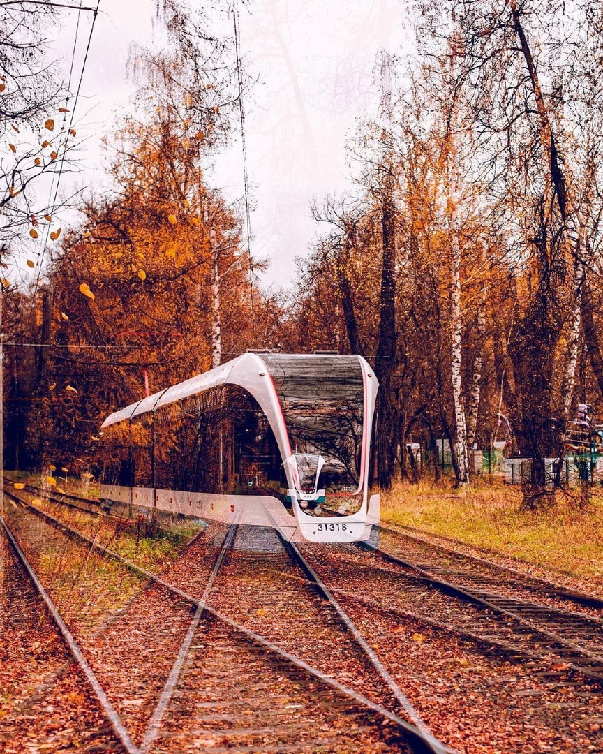 vseomoskve's tweet photo. Призрачные осенние трамвайчики в Измайловском парке 👻🍁
📷 @geni4ka
#всеомоскве #москва #помоскве #фото #трамвайчики #vseomoskve #moscow #moscowlife #picture_to_keep #ilovemoscow https://t.co/o8TgGwRL1i