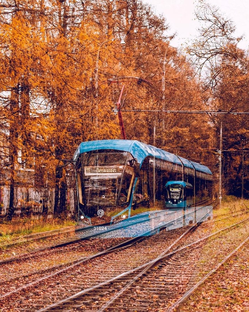 vseomoskve's tweet photo. Призрачные осенние трамвайчики в Измайловском парке 👻🍁
📷 @geni4ka
#всеомоскве #москва #помоскве #фото #трамвайчики #vseomoskve #moscow #moscowlife #picture_to_keep #ilovemoscow https://t.co/o8TgGwRL1i