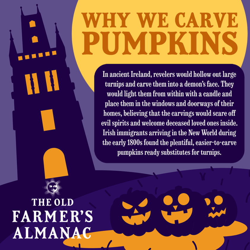 GiftFromTheHrt's tweet photo. Did you know this?
#happyhalloween #trickortreat #gfth #havesomefun https://t.co/vBRwkoDxxd