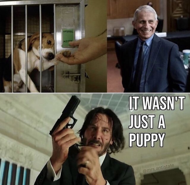 WebbIrick's tweet image. 😂🤣