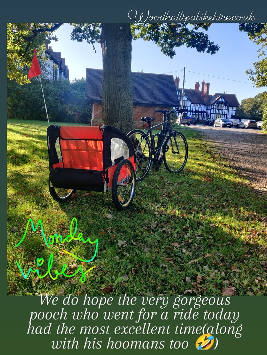 spa_bike's tweet photo. We hope you had a lovely ride down the @spatrail being towed by your hooman today lol. #woodhallspa #bikehire #collection #wedeliver #horncastle greetham #louth #lincolnshire #roughton #blankneyfen #octhalfterm #halloween https://t.co/qNvp7opvHq