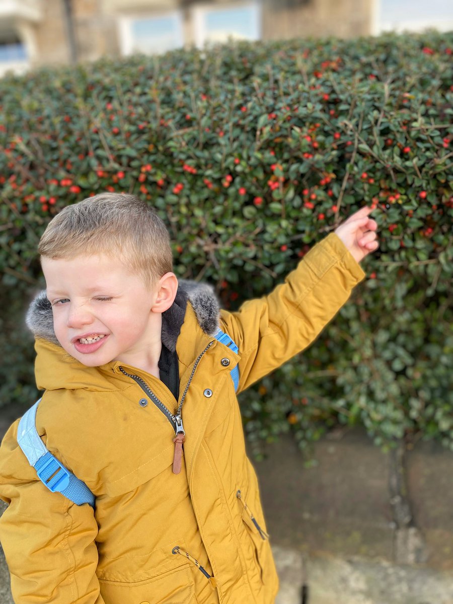 lifeintheginger's tweet photo. @NLActiveSchools 

Boys finding the first colour of the rainbow on the way to school &amp; nursery this morning 🌈.  Red berries for Mason &amp; red PostBox for Connor ❤️ #NLWalkTheRainbow https://t.co/SQ3VcCUXeu