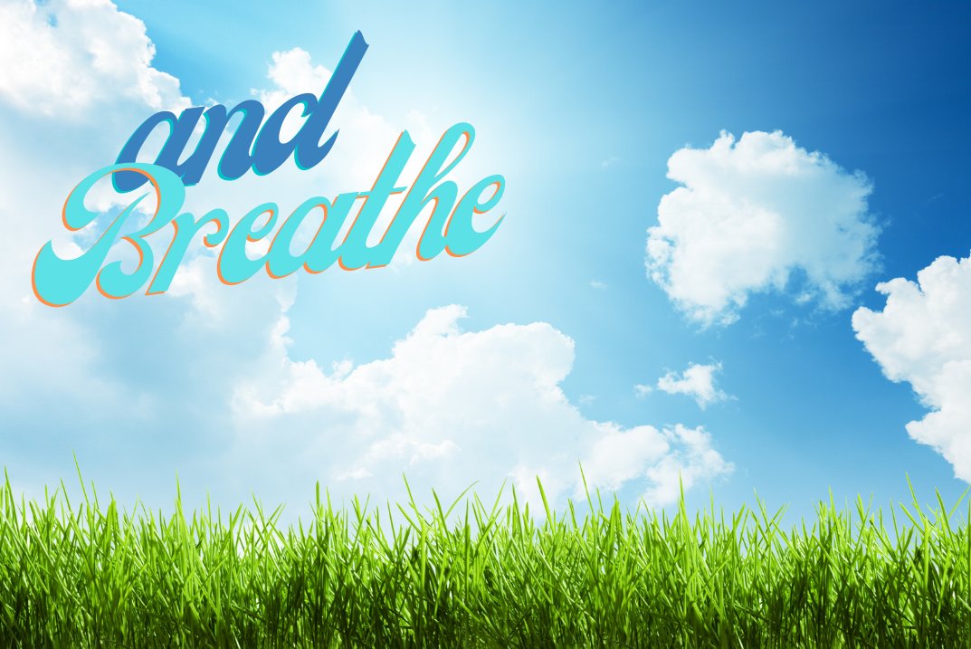 LawnAssociation's tweet image. #Aerating – letting #soils breathe
We need to get deep to give #lawns a proper #autumnal health treatment. And that means working on your #soils. #Nature throws at us many things these days &amp;amp; vital air space can be squeezed out.
The remedy is #aeration!  
lawnassociation.org.uk/how-to-aerate-…