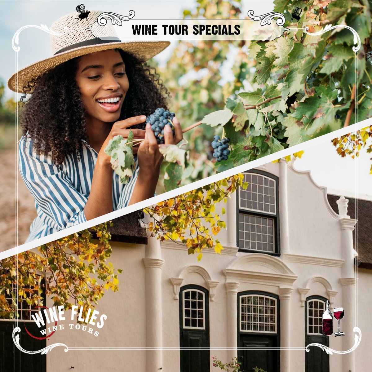 It's always a jol with Wine Flies 💃 

Not only do you get to travel around the wine country like a lanie, you also get picked up and dropped off, you visit over 20 wine estates and get a cellar tour from only R685p.p 🎉

Book your seat now > bit.ly/3DNjSi9